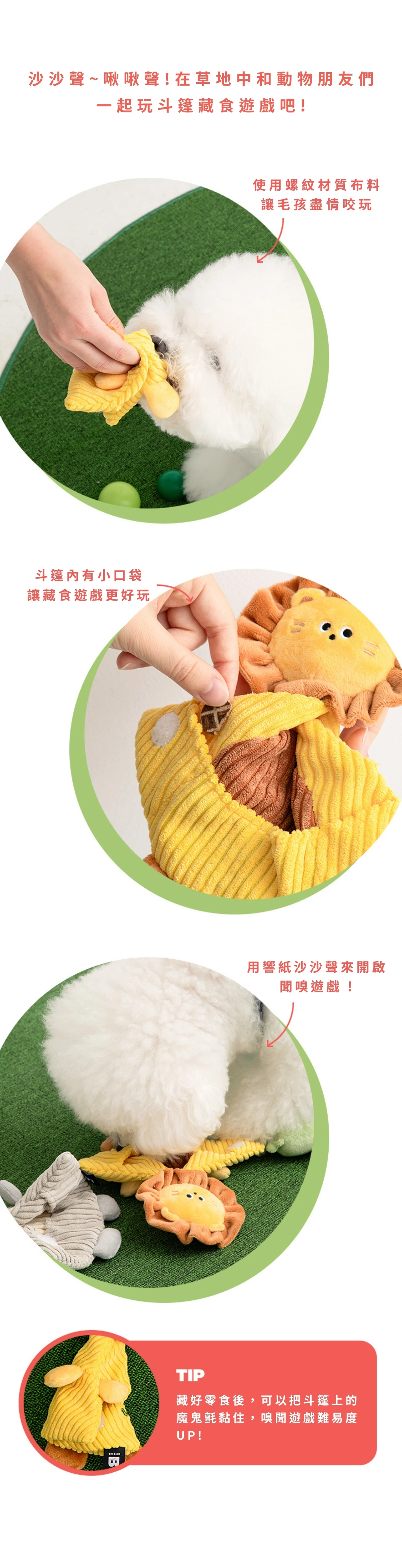 BITE ME 飛飛_02.jpg