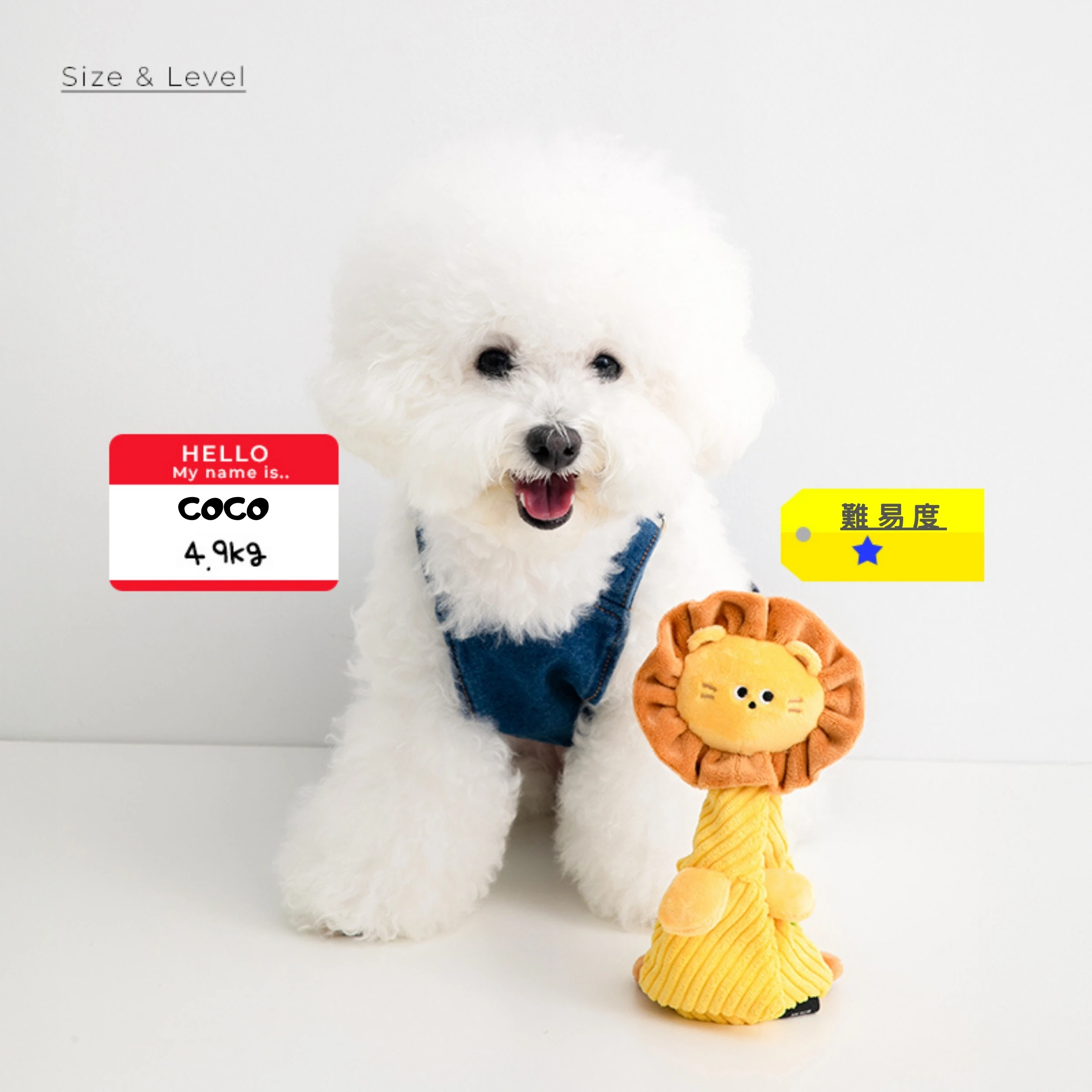 BITE ME 飛飛_07.jpg