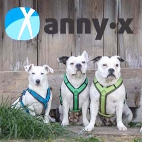 anny·x 樂趣胸背帶