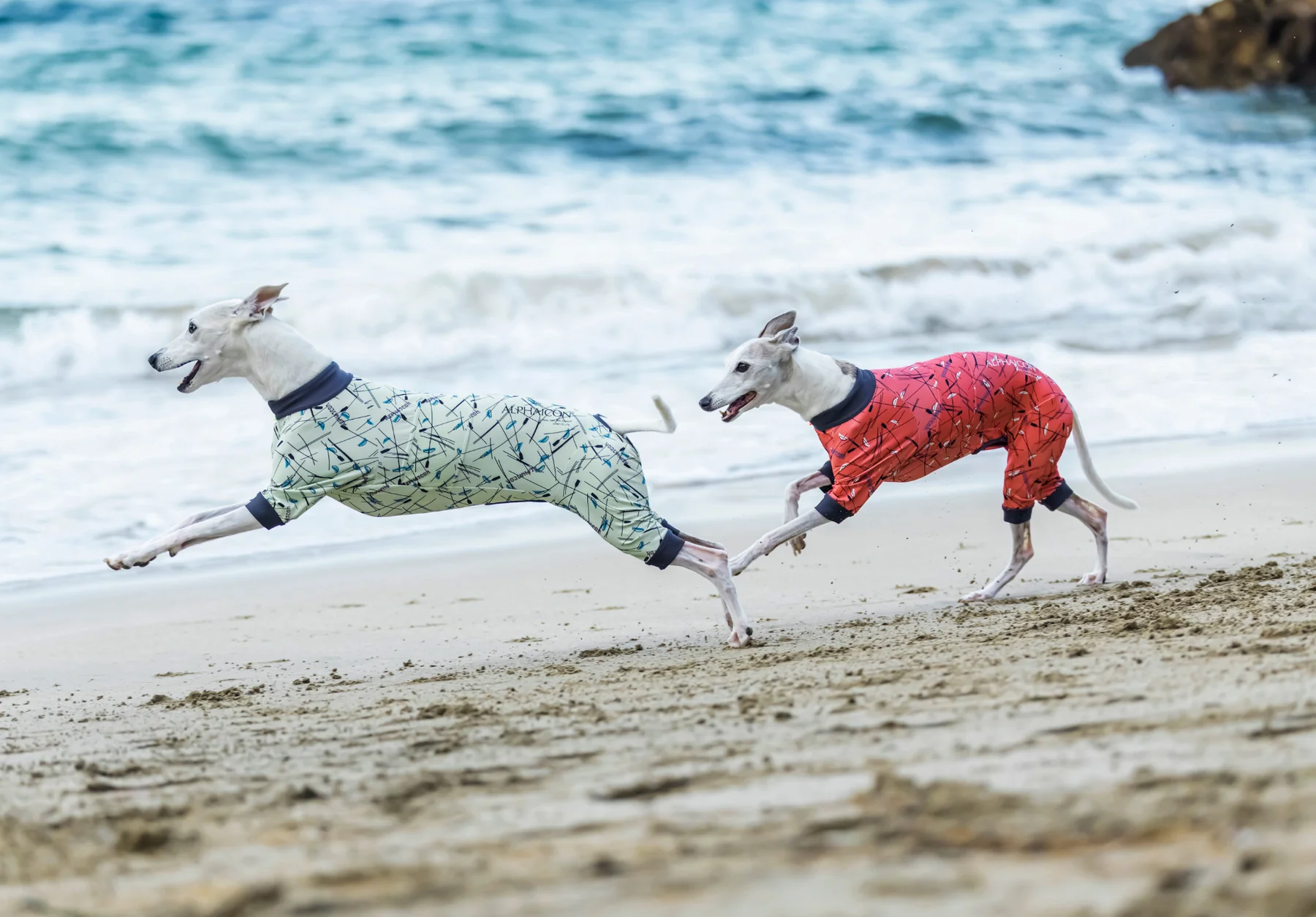 Alphaicon  夏季全能衣 26SS