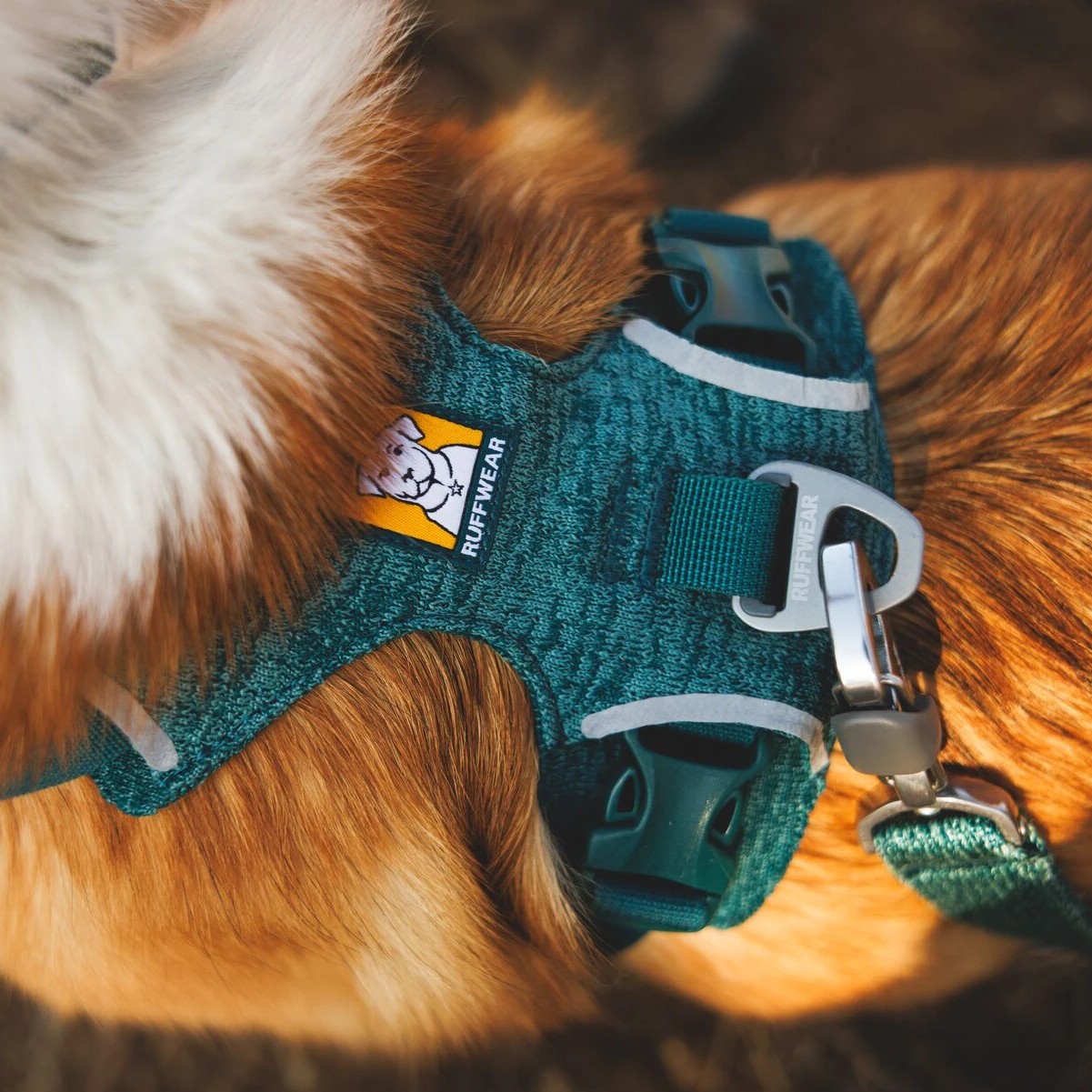 RUFFWEAR Front Range 針織胸背