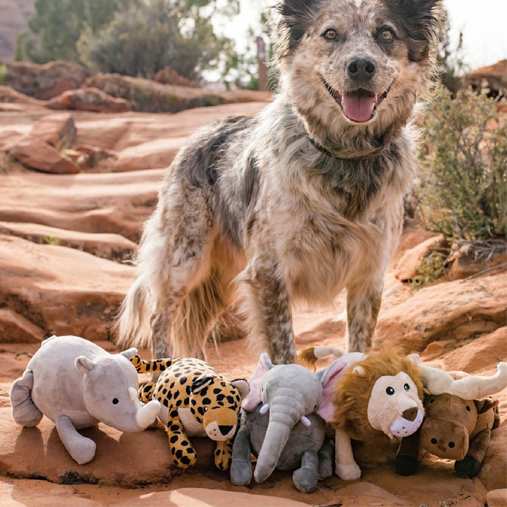 P.L.A.Y. 非洲五巨頭