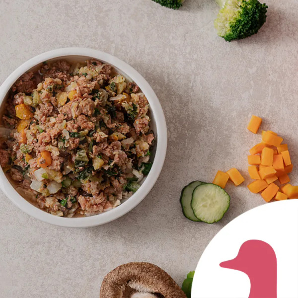 喔吉鮮食餐 鴨肉