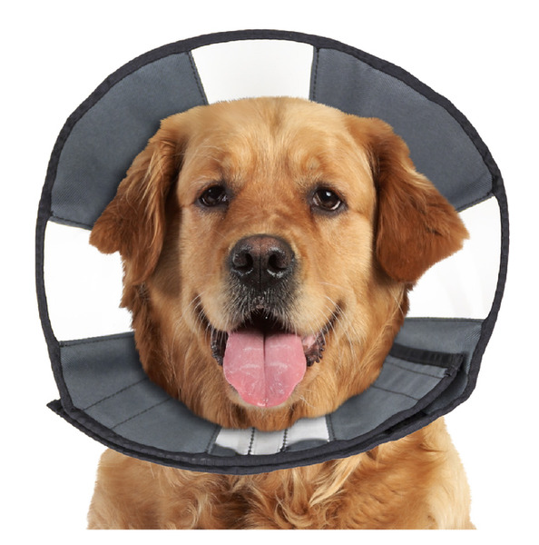 ZenCone 不遮視線防舔頭套