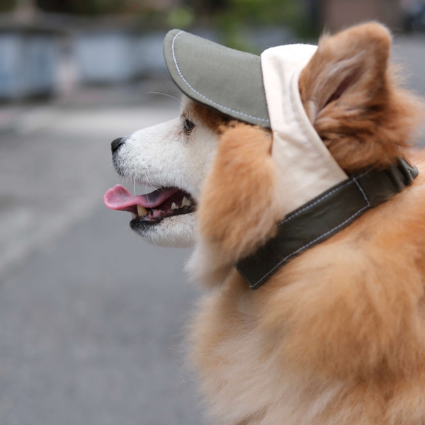 Woolly Woolly狗狗棒球帽 山系