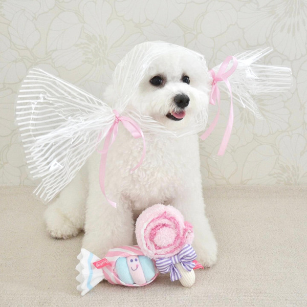 Bailey 吃甜甜系列