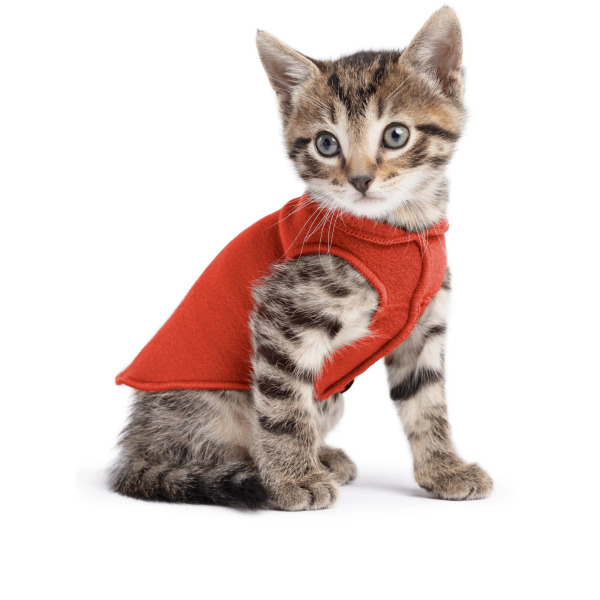 Gold Paw 單層彈性刷毛背心 紅甜椒