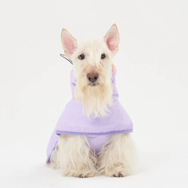 munikund 一代雨衣