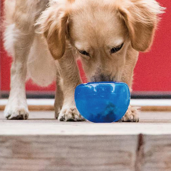 Planet Dog 埋鼻缽