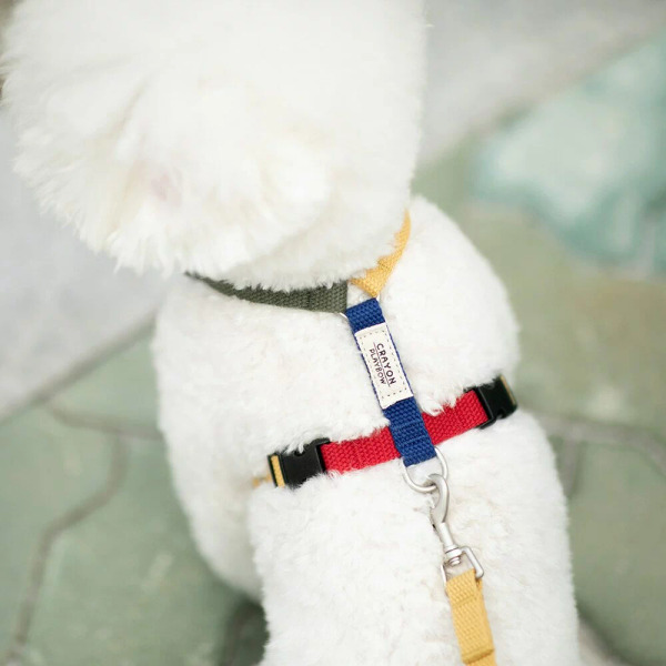 PLAYBOW 彩色H型胸背帶