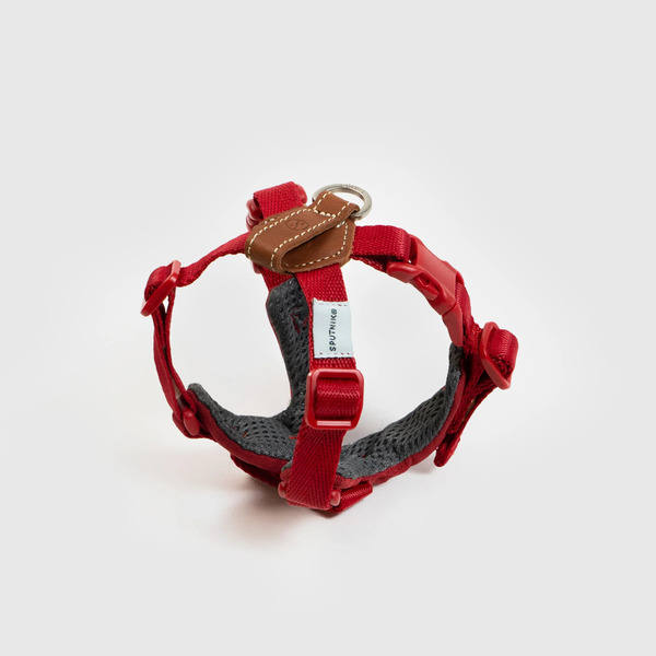 SPUTNIK Explore Harness 胸背帶