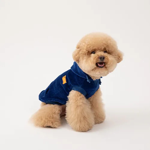 Puppy Gallery 燈芯絨連帽T