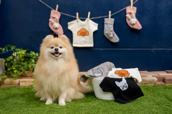 FAD 咬咬T 響紙玩具