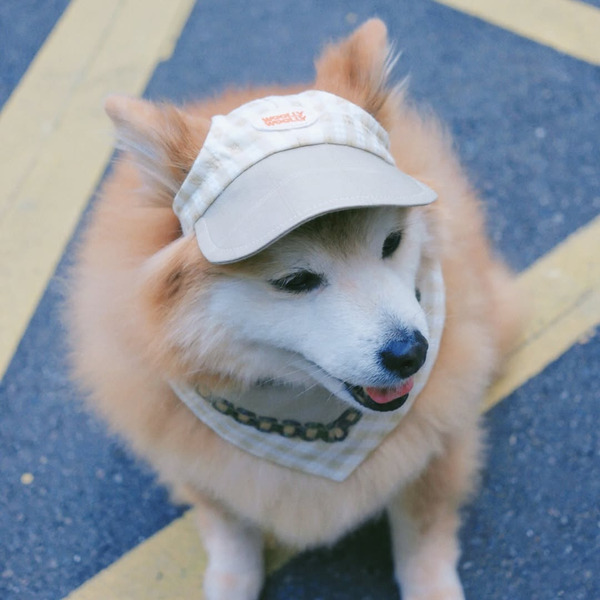 Woolly Woolly狗狗棒球帽 PuriPuri聯名系列