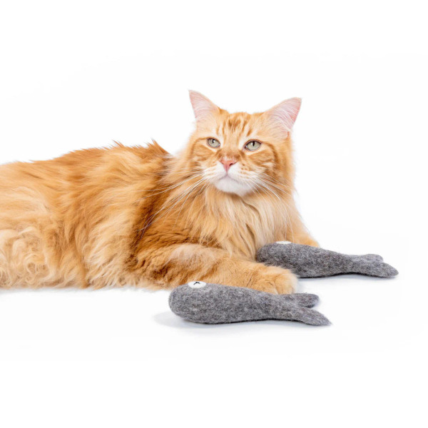 Mimi's Daughters 菲力魚