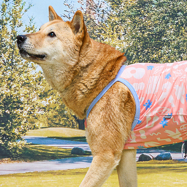 munikund 2025款 防蟲涼感背心