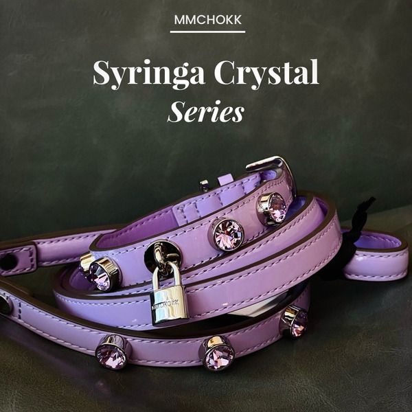 MMCHOKK 水晶項圈 Bling Collar