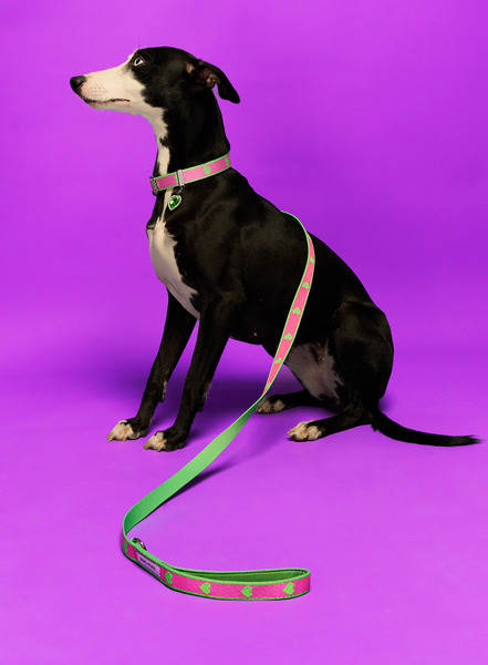 MMCHOKK 提花織帶牽繩