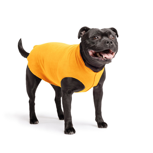 Gold Paw 單層彈性刷毛背心 巧達起司