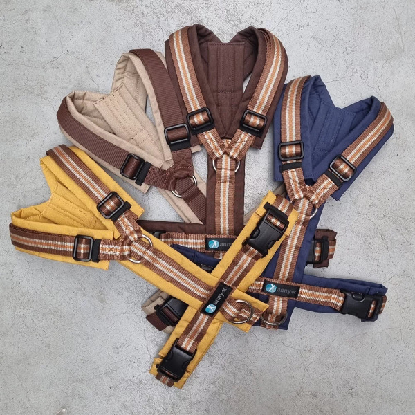 Anny.X 樂趣胸背帶 (限量色)