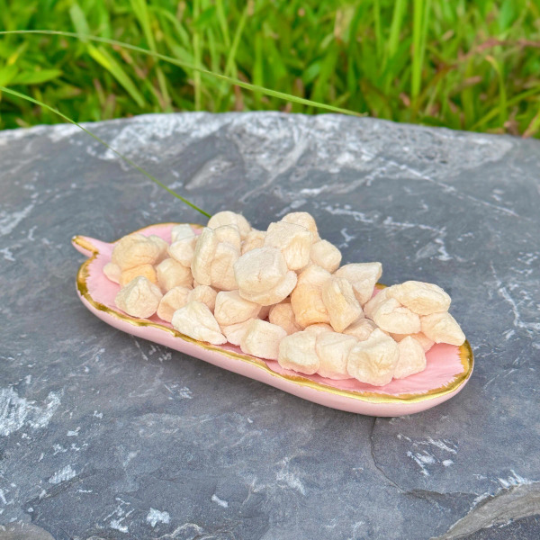 GOODY PAWTY 小干貝 15g