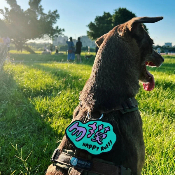 很春毛小吃 勿摸社交識別牌