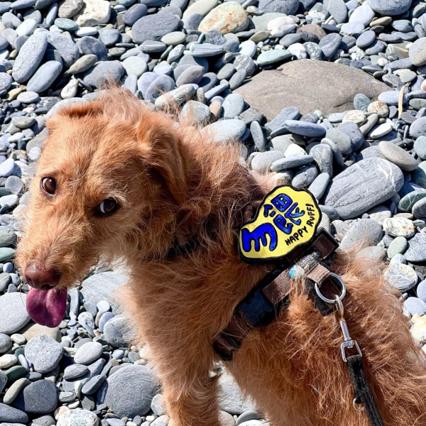 很春毛小吃 勿餵社交識別牌