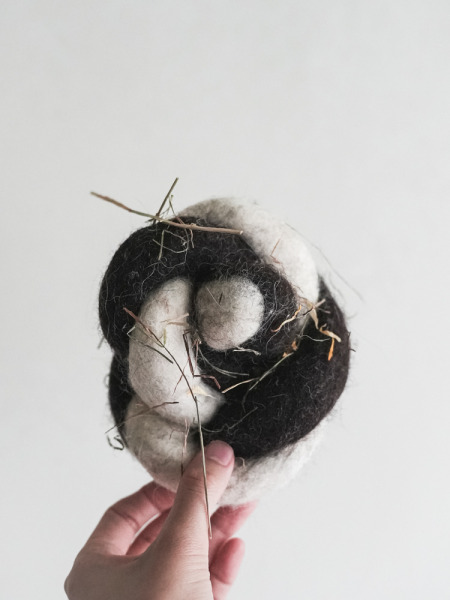 Have a nose day  ⽺⽑⿇花捲