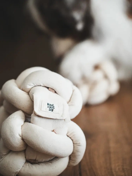 Have a nose day  嗅聞捲