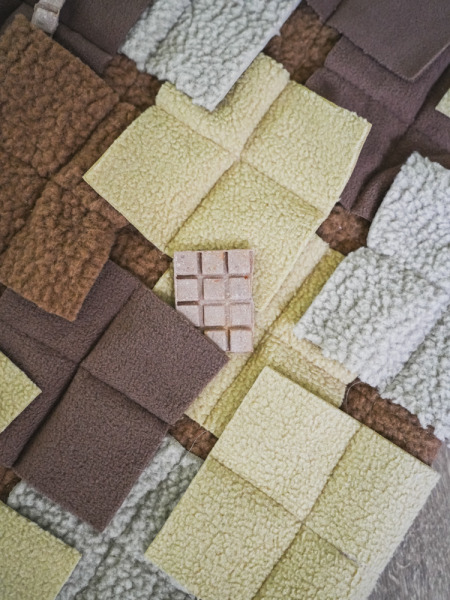 Have a nose day  嗅聞餅乾墊